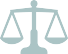 Professional Liability